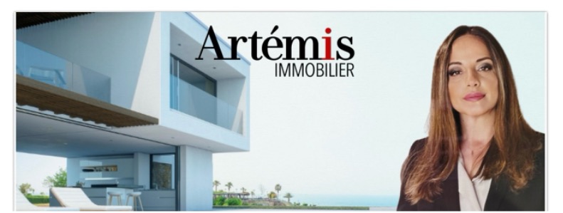 Équipe de STELART - ARTEMIS IMMOBILIER