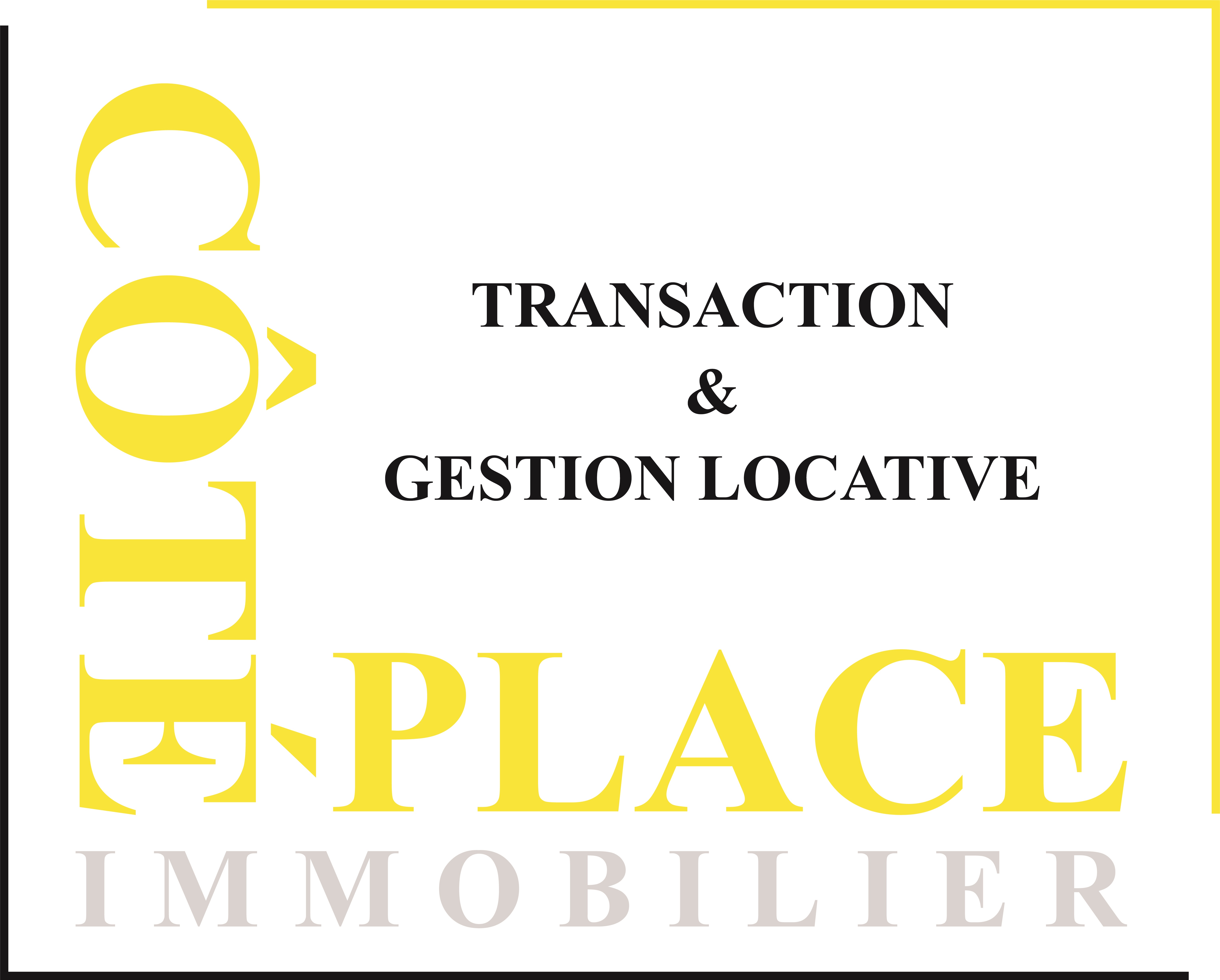 AGENCE COTE PLACE