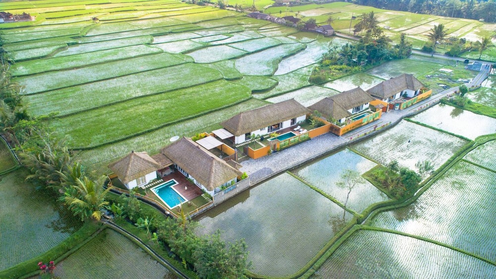 Villa 2 chambres Jahe Ubud - Leasehold 14 ans (VLUBD001S)